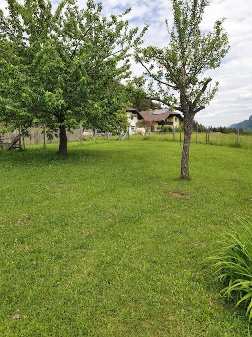 Charmantes Ferienhaus In Bester Lage คอทชาค อัม ซี ภายนอก รูปภาพ